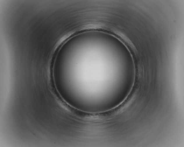 X0000115830834200911201503