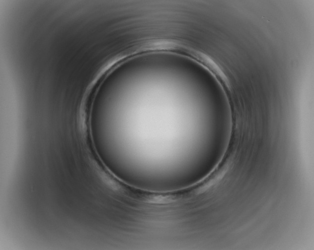 X0000115830835200911201503