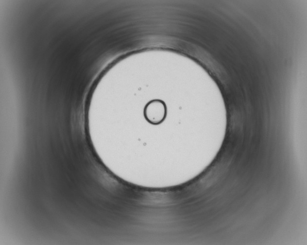 X0000115830836200911201503