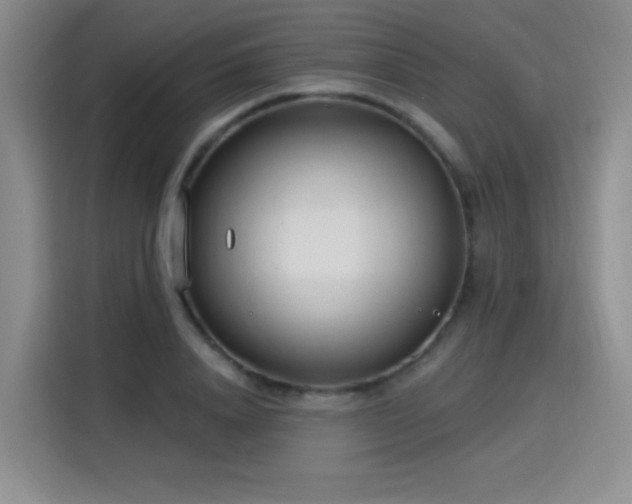 X0000115830840200911201503