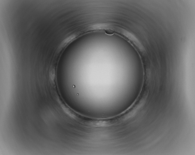 X0000115830841200911201504