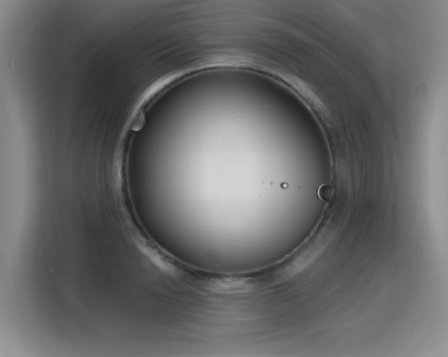 X0000115830846200911201504