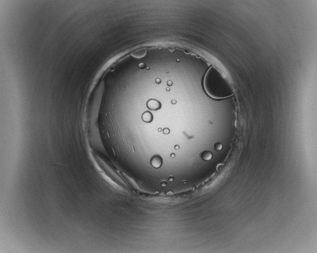 X0000115830855200911201504