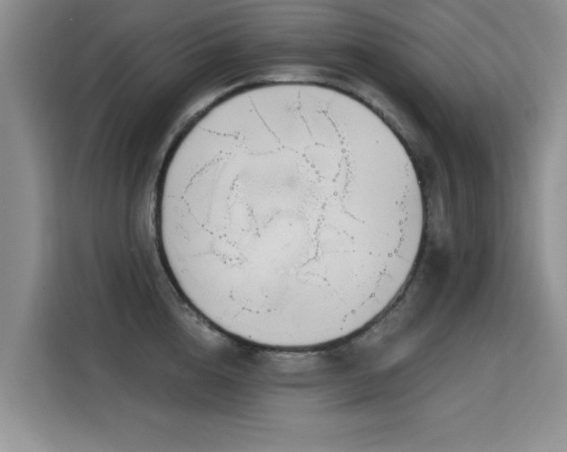 X0000115830856200911201504