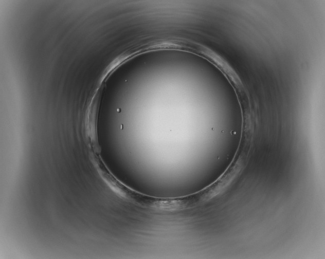 X0000115830858200911201504