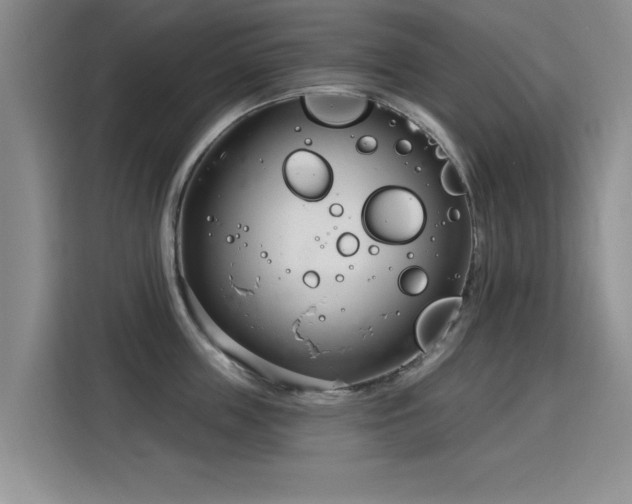 X0000115830859200911201504