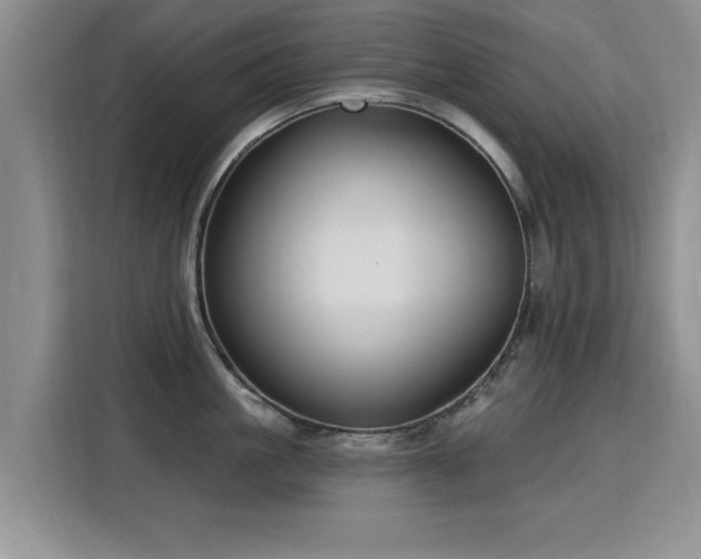 X0000115830861200911201504