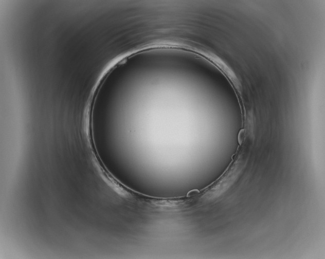 X0000115830862200911201504