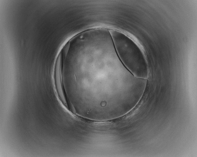 X0000115830863200911201504