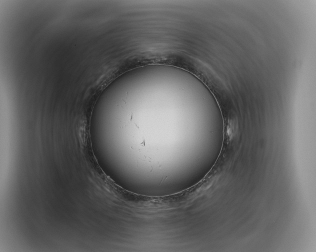 X0000115830867200911201503