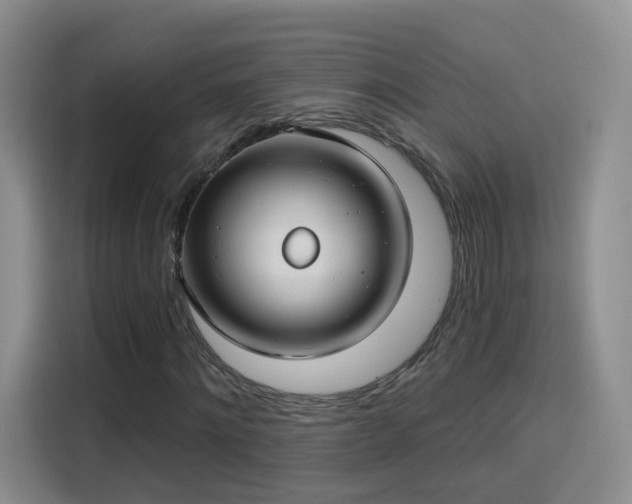 X0000115830868200911201503