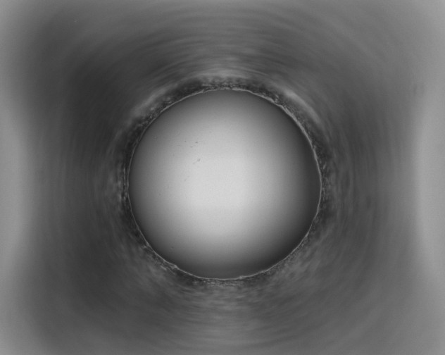 X0000115830870200911201503