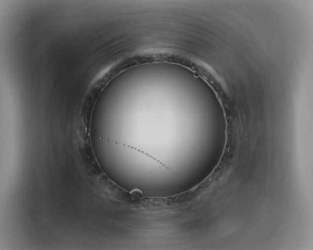 X0000115830871200911201503