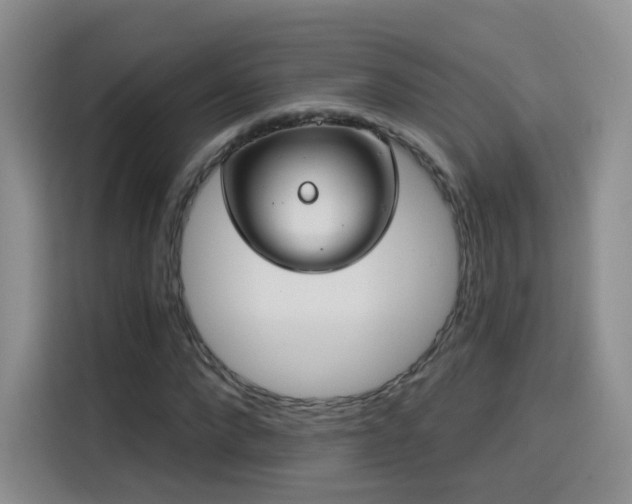 X0000115830872200911201503