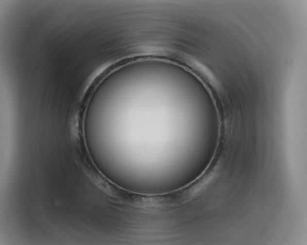 X0000115830875200911201503