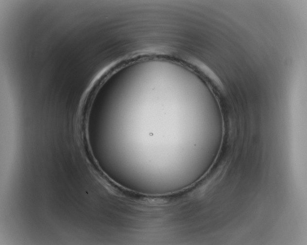 X0000115830878200911201503