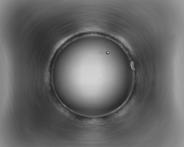 X0000115830879200911201503