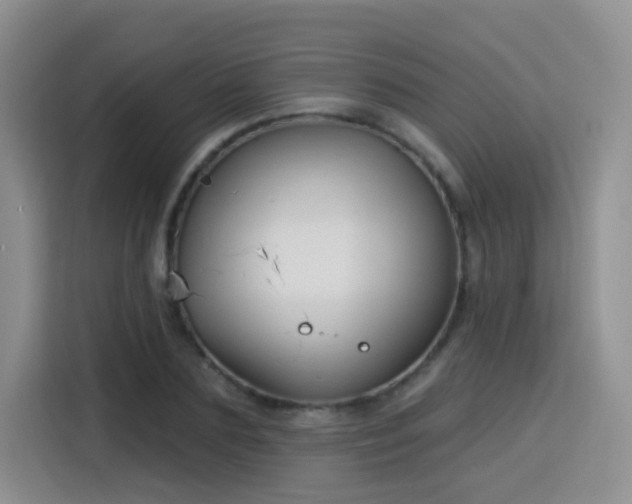 X0000115830883200911201503