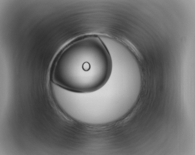 X0000115830884200911201503