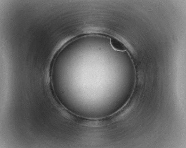 X0000115830885200911201503