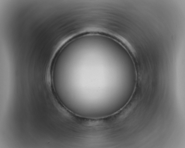 X0000115830887200911201503