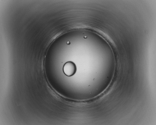 X0000115830889200911201503