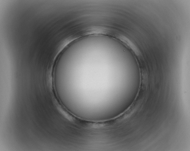 X0000115830890200911201503