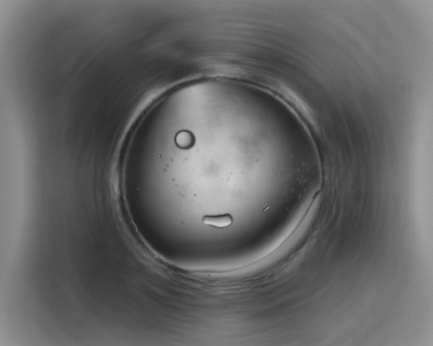 X0000115830891200911201503