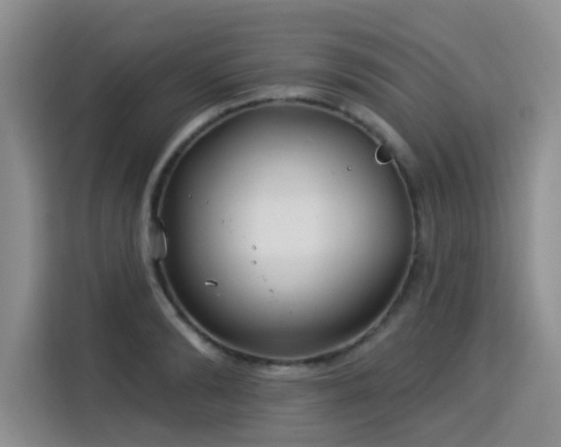 X0000115830894200911201503