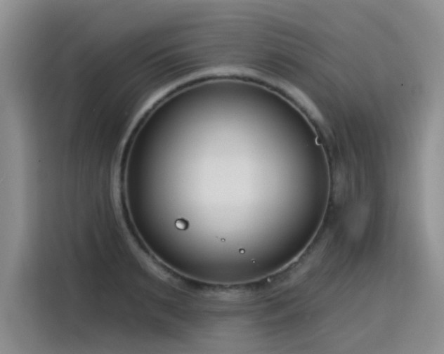 X0000115830895200911201503