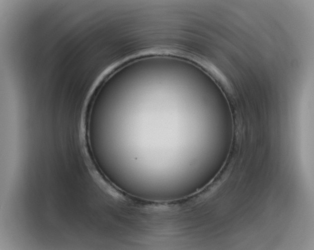 X0000115830896200911201503