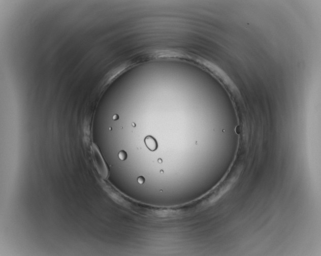 X0000115830897200911201503