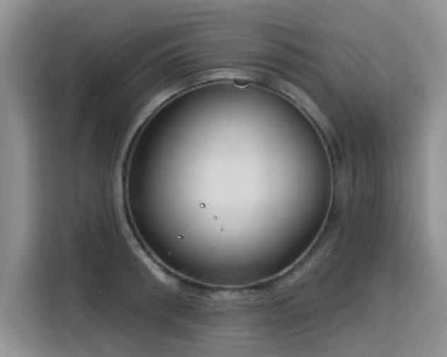 X0000115830898200911201503