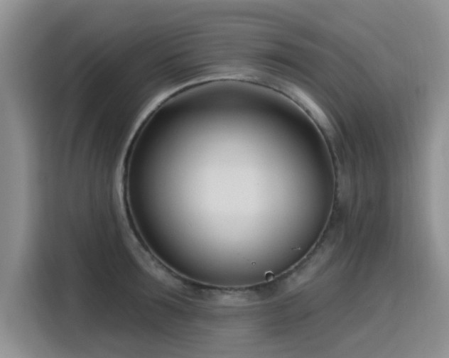 X0000115830899200911201503