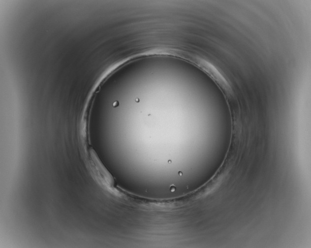 X0000115830900200911201503