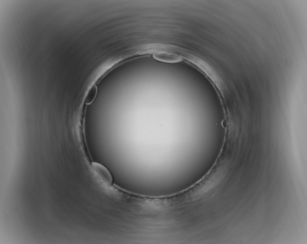 X0000115830901200911201503