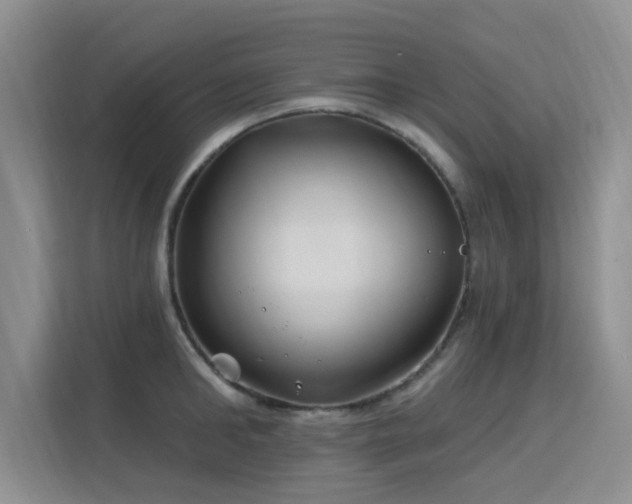 X0000115830902200911201503