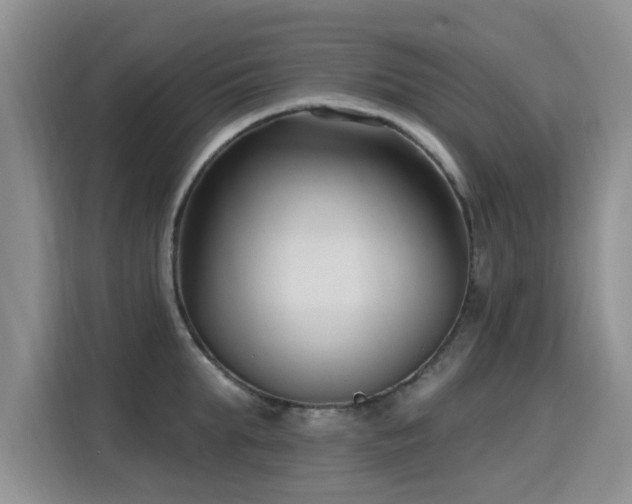 X0000115830903200911201503