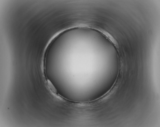 X0000115830904200911201503