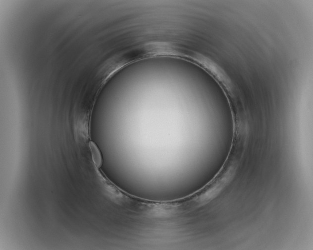 X0000115830905200911201503