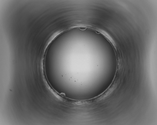 X0000115830906200911201503