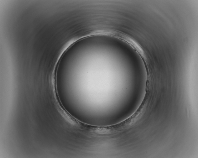 X0000115830907200911201503