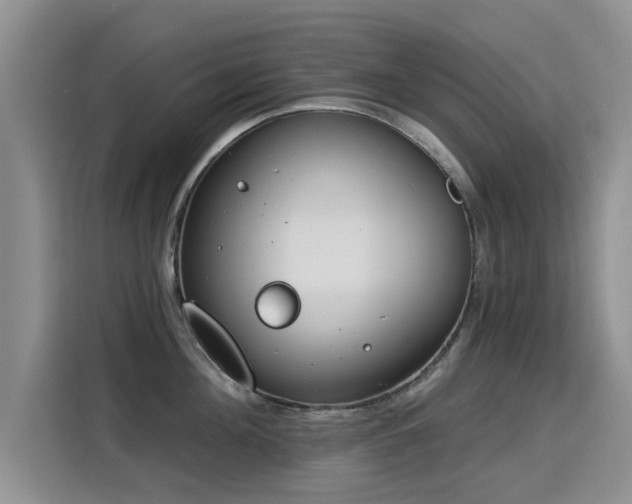 X0000115830908200911201503