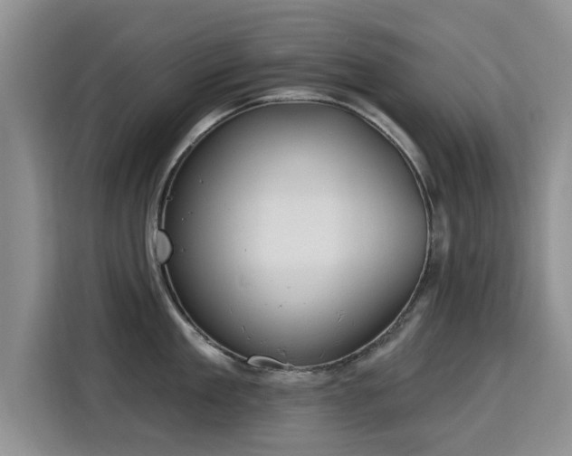 X0000115830909200911201503