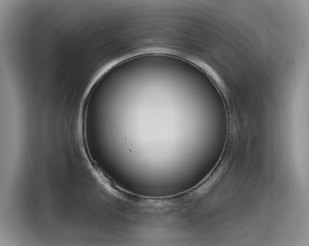 X0000115830910200911201503