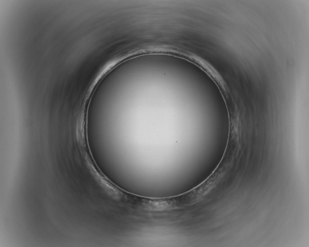 X0000115830911200911201503