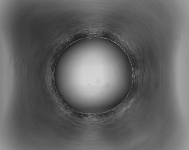 X0000115830913200911201502