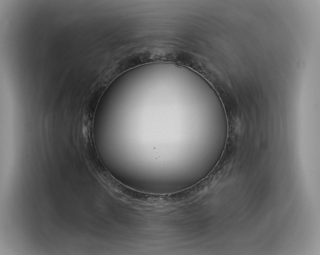 X0000115830914200911201502