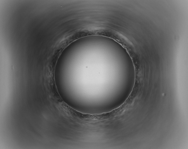 X0000115830917200911201502