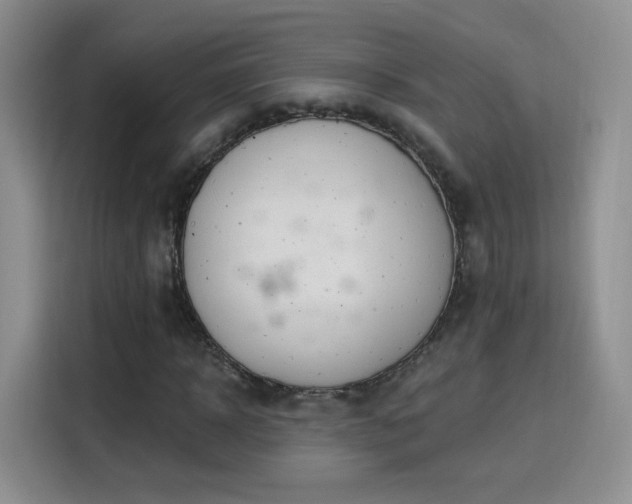 X0000115830918200911201502